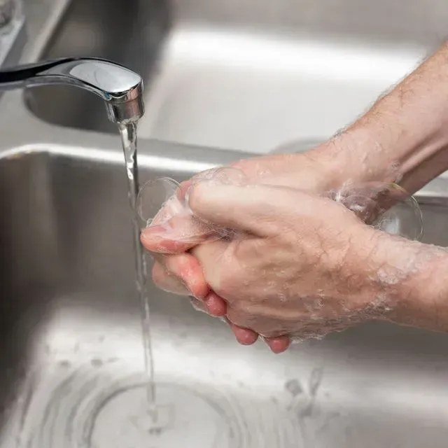 thumbnail for publication: Hazard Analysis Critical Control Points (HACCP)—Prerequisite Programs